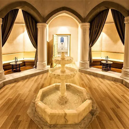 Elexus Hotel & Resort & Spa & Casino מלון 5*