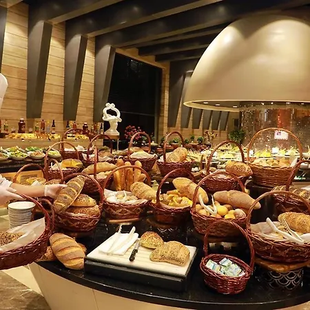 Elexus Hotel & Resort & Spa & Casino מלון