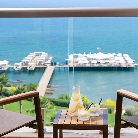 Elexus Hotel & Resort & Spa & Casino 5*